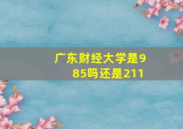 广东财经大学是985吗还是211