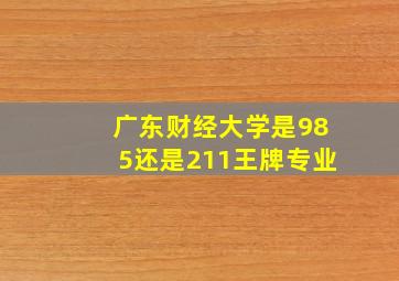 广东财经大学是985还是211王牌专业