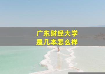 广东财经大学是几本怎么样