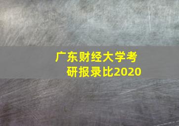 广东财经大学考研报录比2020