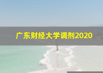 广东财经大学调剂2020