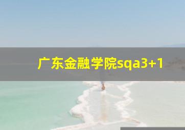 广东金融学院sqa3+1