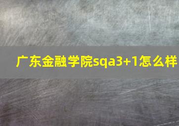 广东金融学院sqa3+1怎么样