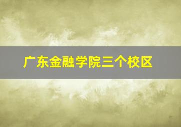 广东金融学院三个校区