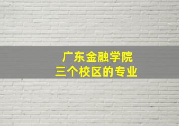 广东金融学院三个校区的专业