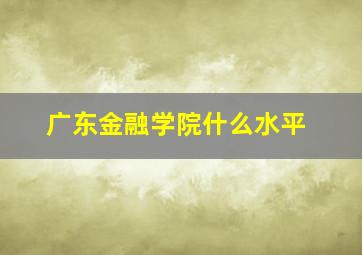 广东金融学院什么水平