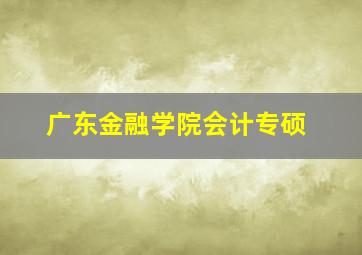 广东金融学院会计专硕