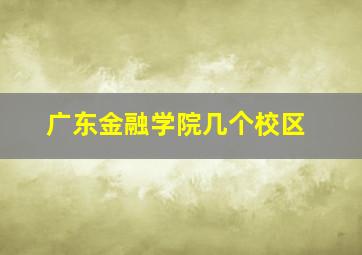 广东金融学院几个校区