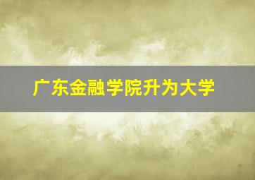 广东金融学院升为大学