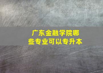 广东金融学院哪些专业可以专升本