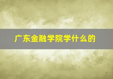 广东金融学院学什么的