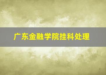 广东金融学院挂科处理