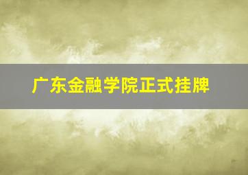 广东金融学院正式挂牌