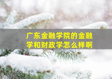 广东金融学院的金融学和财政学怎么样啊