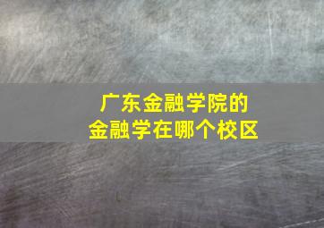 广东金融学院的金融学在哪个校区