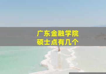 广东金融学院硕士点有几个