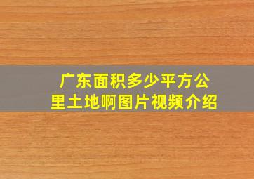 广东面积多少平方公里土地啊图片视频介绍