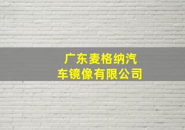 广东麦格纳汽车镜像有限公司