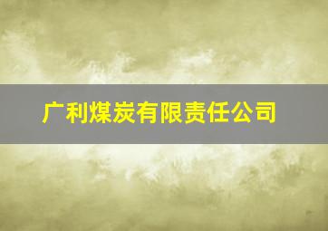 广利煤炭有限责任公司