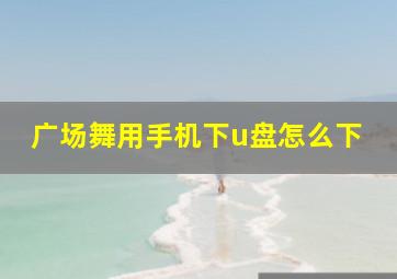 广场舞用手机下u盘怎么下