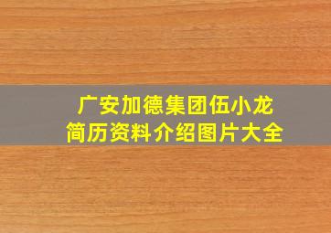 广安加德集团伍小龙简历资料介绍图片大全