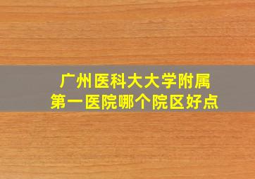 广州医科大大学附属第一医院哪个院区好点