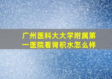 广州医科大大学附属第一医院看肾积水怎么样