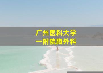 广州医科大学一附院胸外科