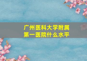 广州医科大学附属第一医院什么水平