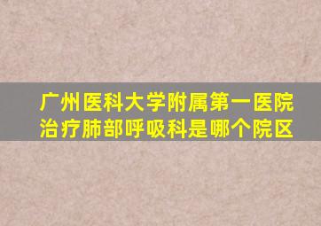 广州医科大学附属第一医院治疗肺部呼吸科是哪个院区