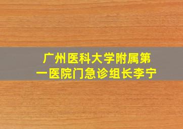 广州医科大学附属第一医院门急诊组长李宁