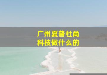 广州夏普杜尚科技做什么的