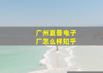 广州夏普电子厂怎么样知乎