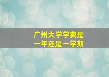 广州大学学费是一年还是一学期