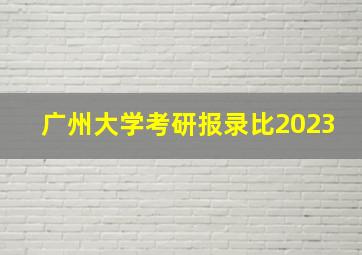 广州大学考研报录比2023