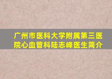 广州市医科大学附属第三医院心血管科陆志峰医生简介