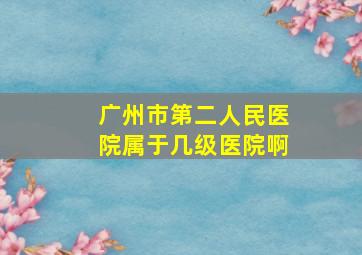 广州市第二人民医院属于几级医院啊