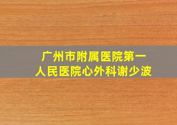 广州市附属医院第一人民医院心外科谢少波