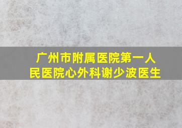 广州市附属医院第一人民医院心外科谢少波医生