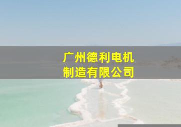 广州德利电机制造有限公司