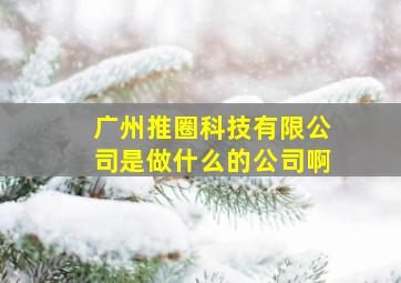 广州推圈科技有限公司是做什么的公司啊