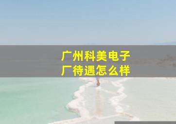 广州科美电子厂待遇怎么样