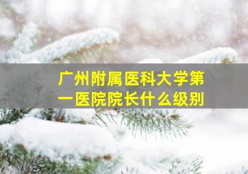 广州附属医科大学第一医院院长什么级别