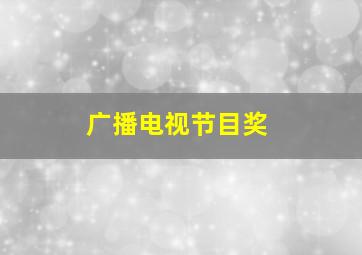 广播电视节目奖