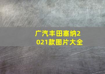 广汽丰田塞纳2021款图片大全