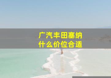 广汽丰田塞纳什么价位合适