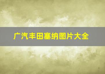 广汽丰田塞纳图片大全