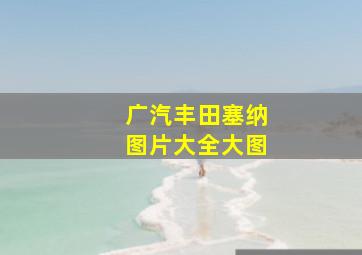 广汽丰田塞纳图片大全大图