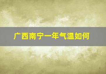 广西南宁一年气温如何