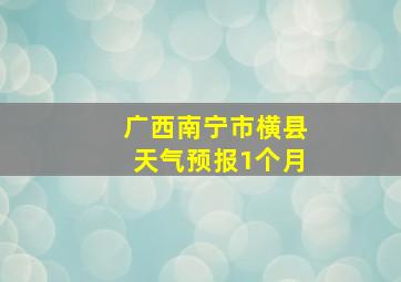 广西南宁市横县天气预报1个月